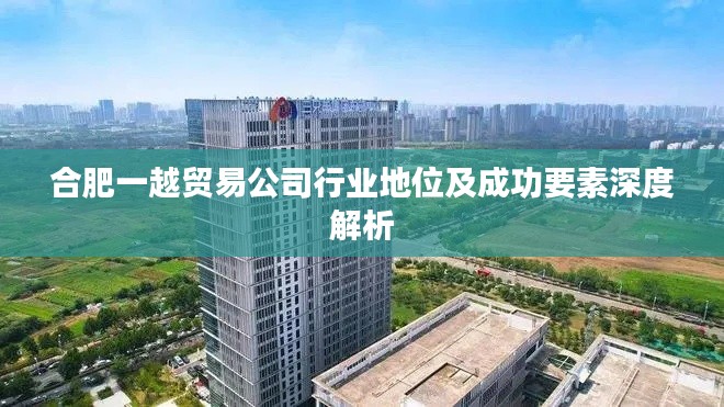合肥一越贸易公司行业地位及成功要素深度解析