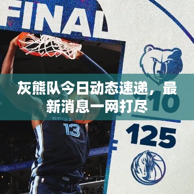 灰熊队今日动态速递，最新消息一网打尽