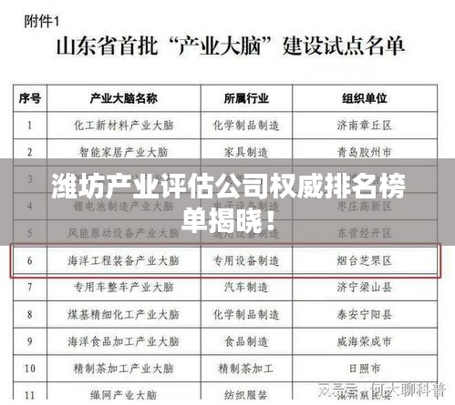 潍坊产业评估公司权威排名榜单揭晓！
