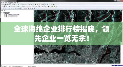 全球海绵企业排行榜揭晓，领先企业一览无余！