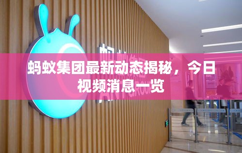 蚂蚁集团最新动态揭秘，今日视频消息一览