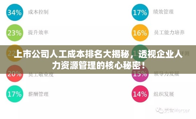 上市公司人工成本排名大揭秘，透视企业人力资源管理的核心秘密！