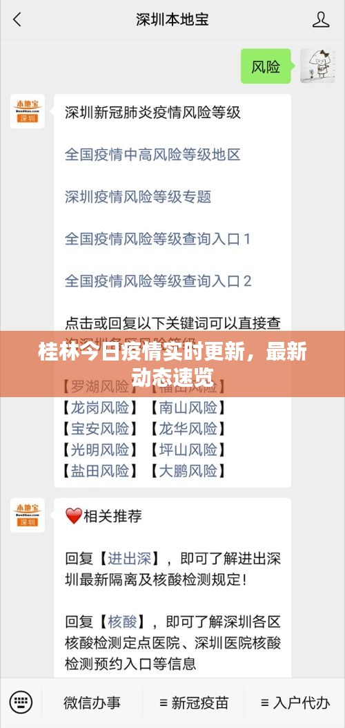 桂林今日疫情实时更新，最新动态速览
