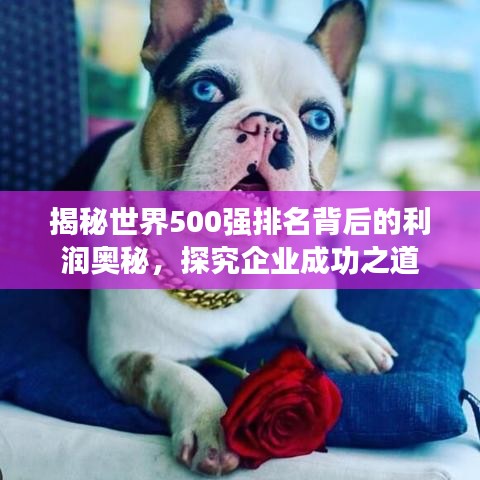 揭秘世界500强排名背后的利润奥秘，探究企业成功之道