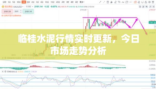 临桂水泥行情实时更新，今日市场走势分析
