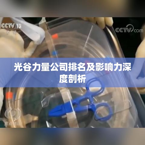 第454页