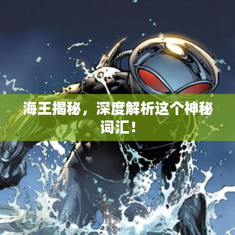 海王揭秘，深度解析这个神秘词汇！