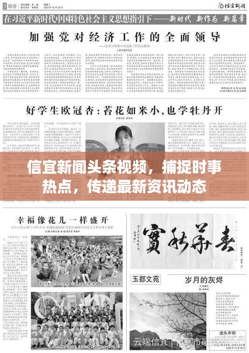 信宜新闻头条视频，捕捉时事热点，传递最新资讯动态