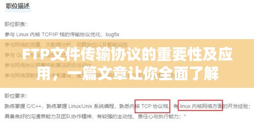 FTP文件传输协议的重要性及应用，一篇文章让你全面了解