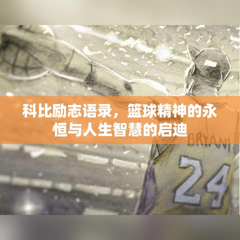 科比励志语录，篮球精神的永恒与人生智慧的启迪