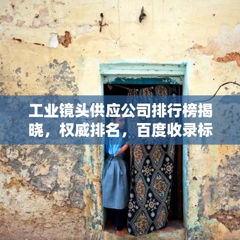 工业镜头供应公司排行榜揭晓，权威排名，百度收录标准！