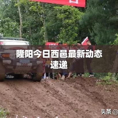 隆阳今日西邑最新动态速递