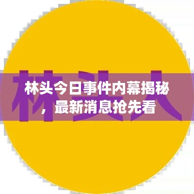林头今日事件内幕揭秘，最新消息抢先看