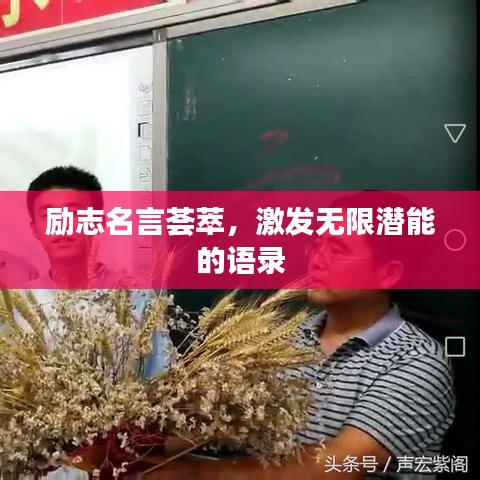 励志名言荟萃，激发无限潜能的语录
