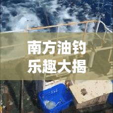 南方油钓乐趣大揭秘，探寻垂钓新境界，体验南油钓的魅力！