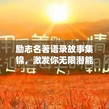 第446页