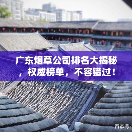 广东烟草公司排名大揭秘，权威榜单，不容错过！
