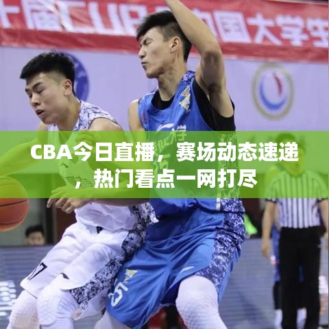 CBA今日直播，赛场动态速递，热门看点一网打尽
