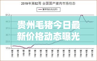 贵州毛猪今日最新价格动态曝光！