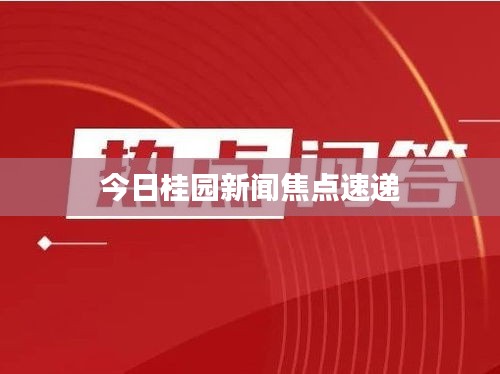 今日桂园新闻焦点速递