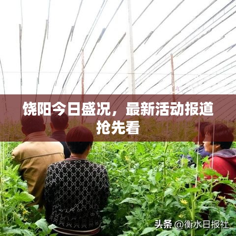 饶阳今日盛况，最新活动报道抢先看