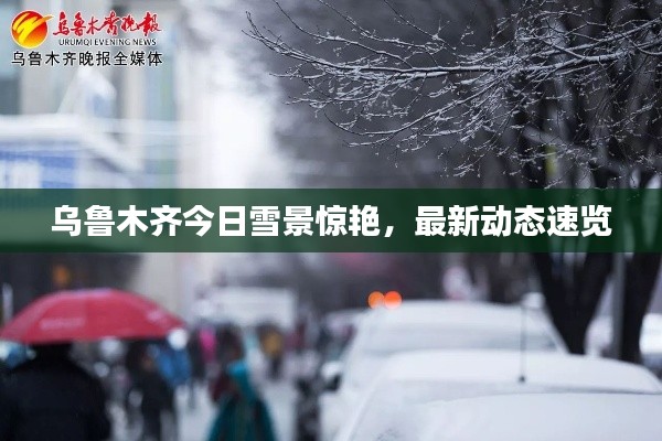 乌鲁木齐今日雪景惊艳，最新动态速览