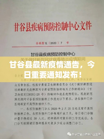 甘谷县最新疫情通告，今日重要通知发布！