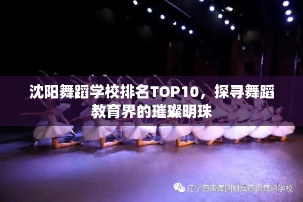 沈阳舞蹈学校排名TOP10，探寻舞蹈教育界的璀璨明珠
