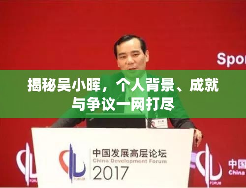 揭秘吴小晖，个人背景、成就与争议一网打尽