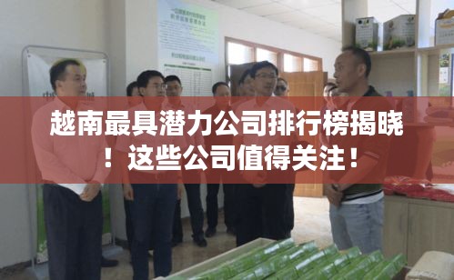 越南最具潜力公司排行榜揭晓！这些公司值得关注！