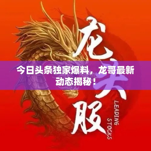 今日头条独家爆料，龙哥最新动态揭秘！