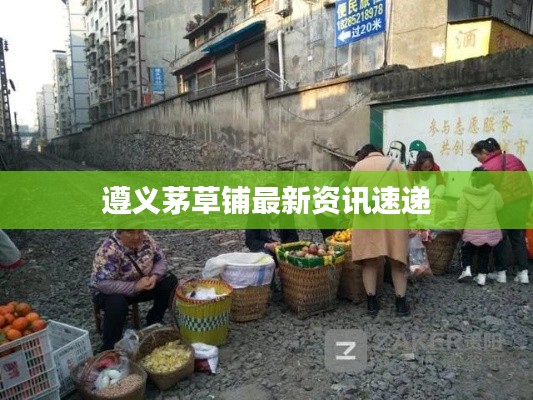 遵义茅草铺最新资讯速递