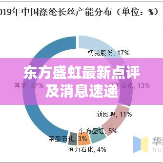 东方盛虹最新点评及消息速递