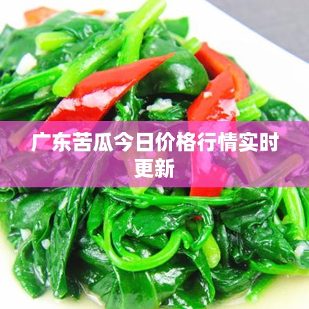 广东苦瓜今日价格行情实时更新