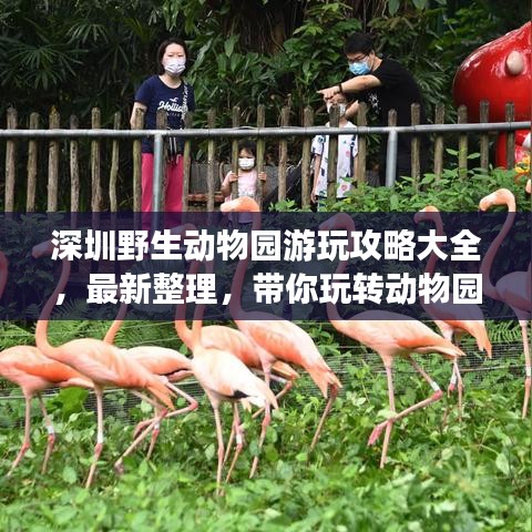 深圳野生动物园游玩攻略大全，最新整理，带你玩转动物园！