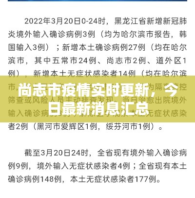 尚志市疫情实时更新，今日最新消息汇总
