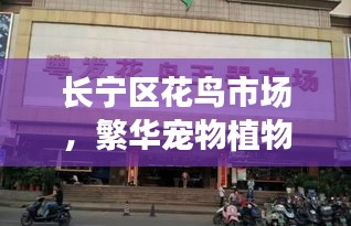 长宁区花鸟市场，繁华宠物植物交易中心