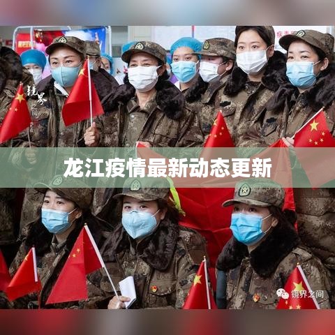龙江疫情最新动态更新
