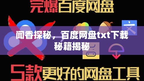 闻香探秘，百度网盘txt下载秘籍揭秘