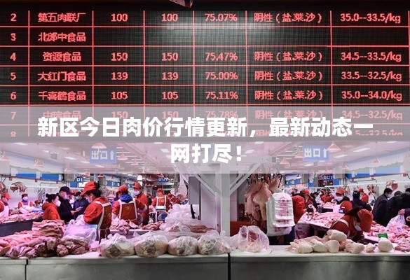 新区今日肉价行情更新，最新动态一网打尽！