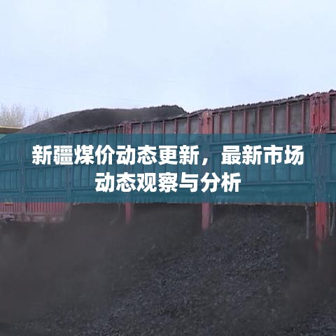 新疆煤价动态更新，最新市场动态观察与分析