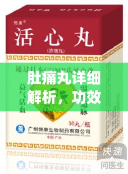 肚痛丸详细解析，功效、作用及百度收录标准介绍