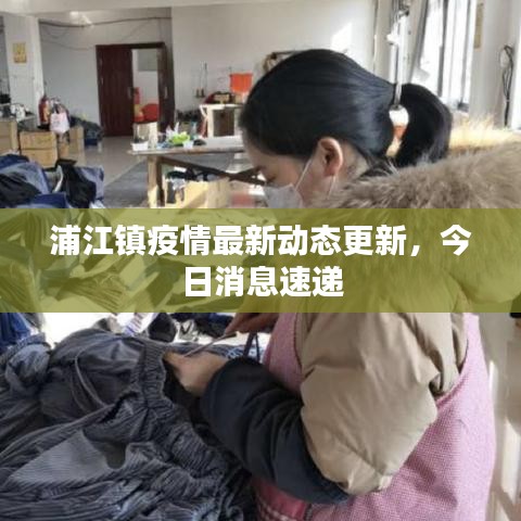 浦江镇疫情最新动态更新，今日消息速递
