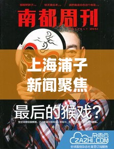上海浦子新闻聚焦，城市脉搏与实时动态报道