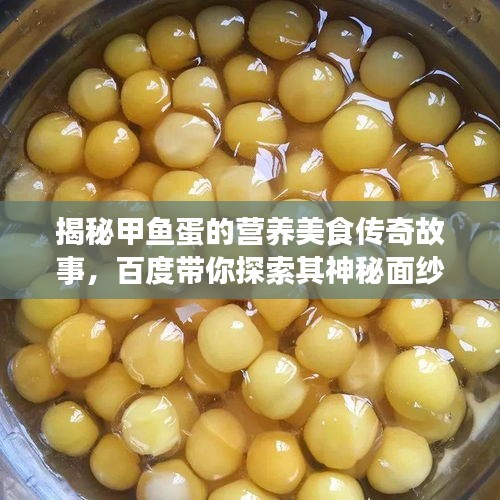 揭秘甲鱼蛋的营养美食传奇故事，百度带你探索其神秘面纱