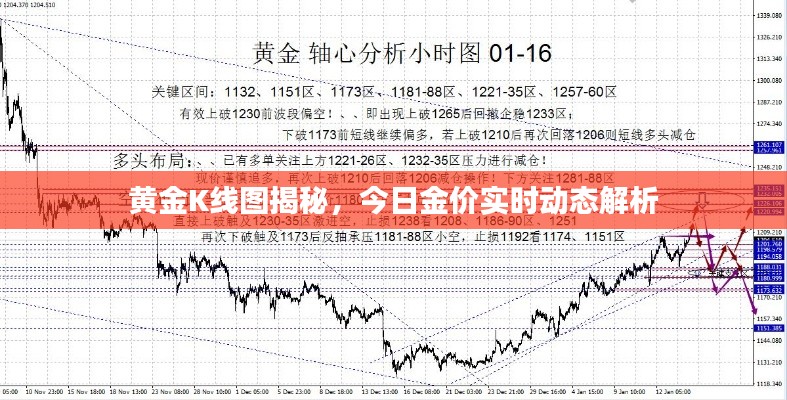 黄金K线图揭秘，今日金价实时动态解析