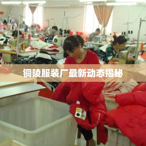 铜陵服装厂最新动态揭秘