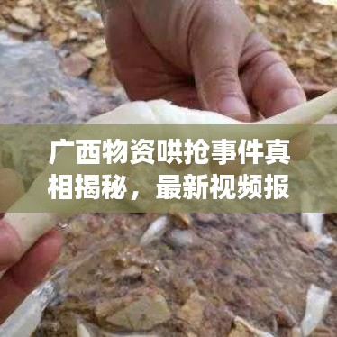 广西物资哄抢事件真相揭秘，最新视频报道探究背后原因