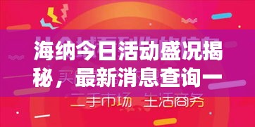 海纳今日活动盛况揭秘，最新消息查询一网打尽