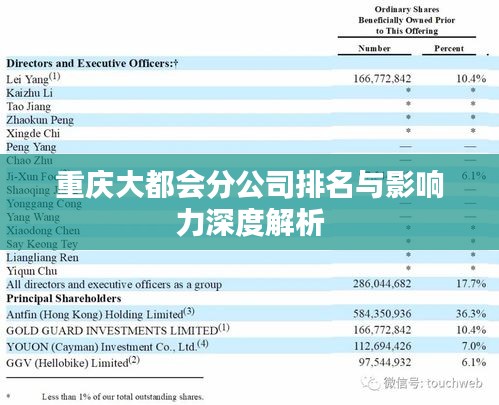 重庆大都会分公司排名与影响力深度解析